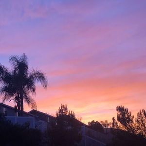 Meet your Posher, Sophia